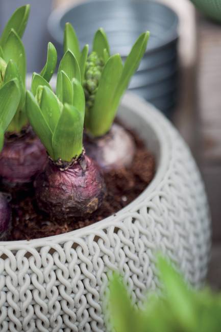 Кашпо Cozies S  подвесное серый